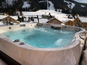 Chalet in Hohentauern - Chalet Ana